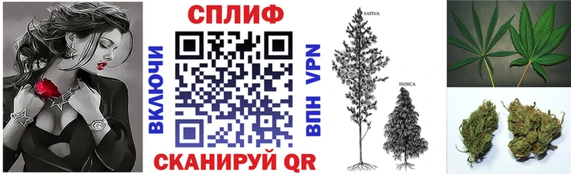Шишки марихуана MAZAR  Гусиноозёрск 
